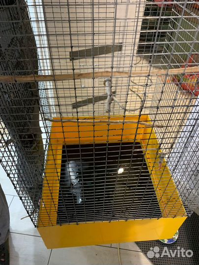 Большая клетка , вольер для птиц