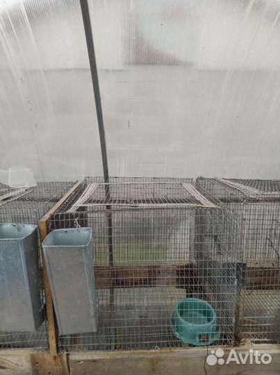Клетка для кролика