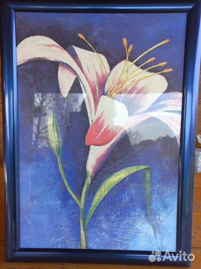 Репродукция