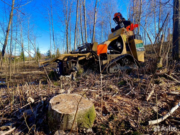 Удалить пень, корчевка пня, фрезеровка пней, пни