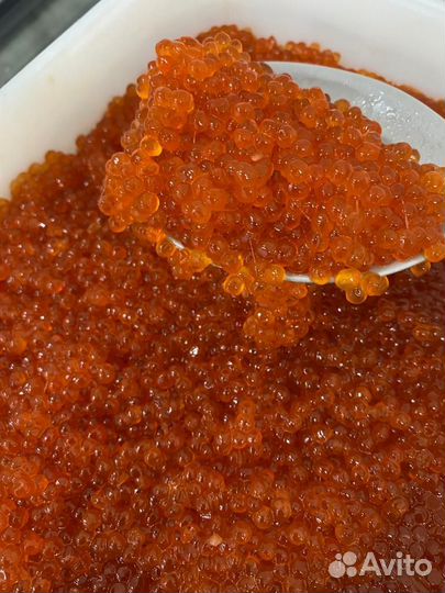 Икра, краб, креветка, рыба, морепродукты оптом