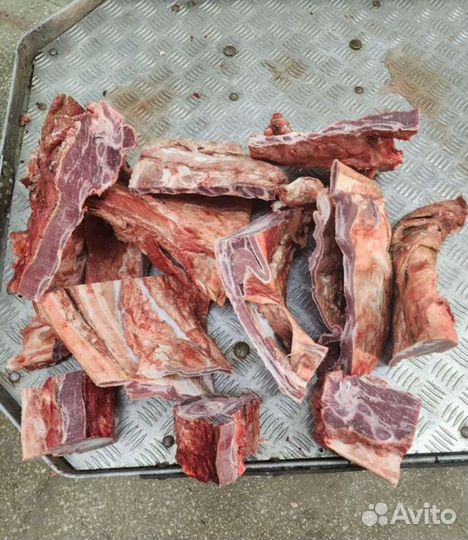 Рыба свежемороженая