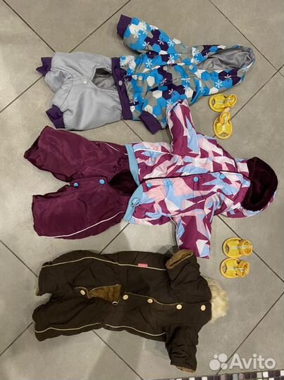 Комбинезоны для собак