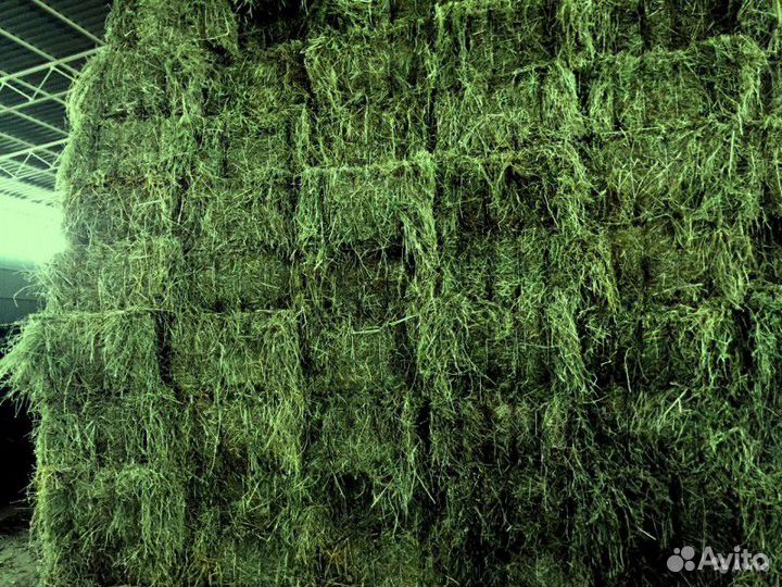 Сено-Травяная Смесь Луговых Трав тюк 25кг