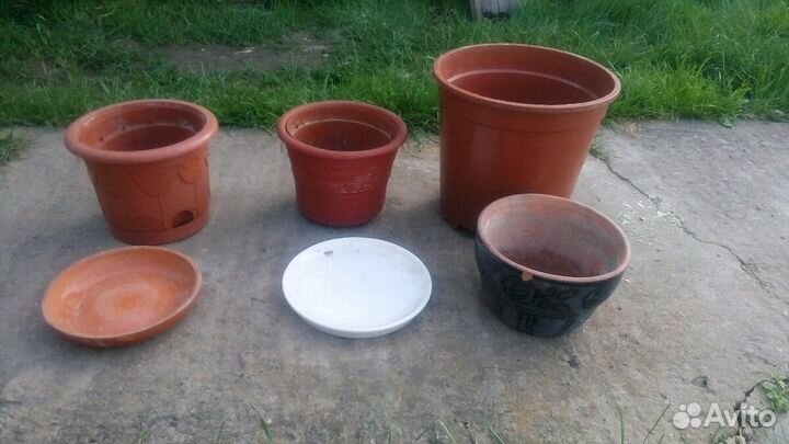 Горшки для комнатных растений