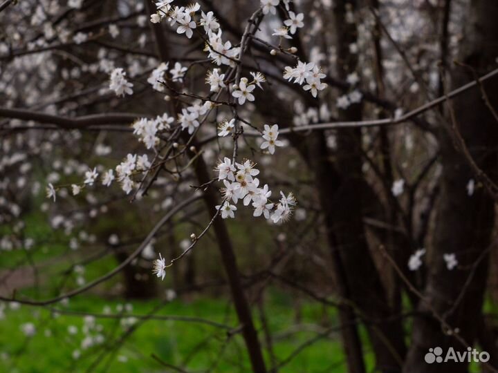 Винтажный объектив Индустар 61 л/д