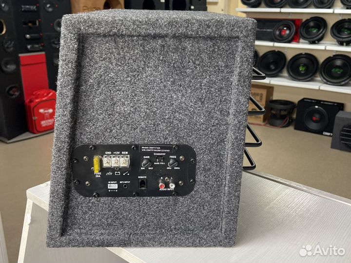 Сабвуфер активный ACV 10