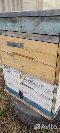 Улей для пчел
