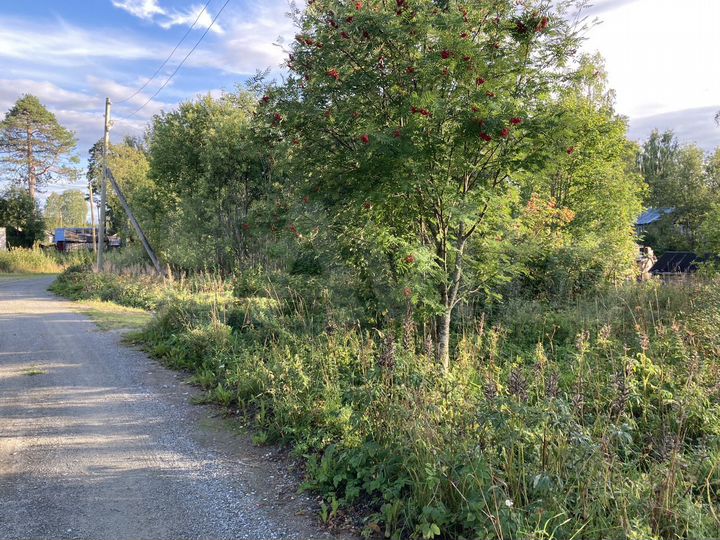 Участок 15 сот. (ИЖС)