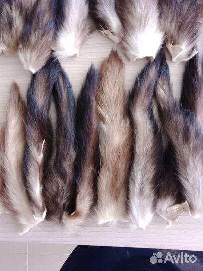 Хвосты хоря