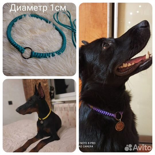 Адресник для собаки. Плетёный шнурок