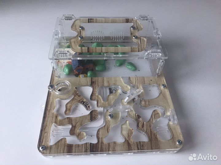 Муравьиная ферма