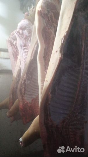 Мясо свинины, говядины, конины и баранины