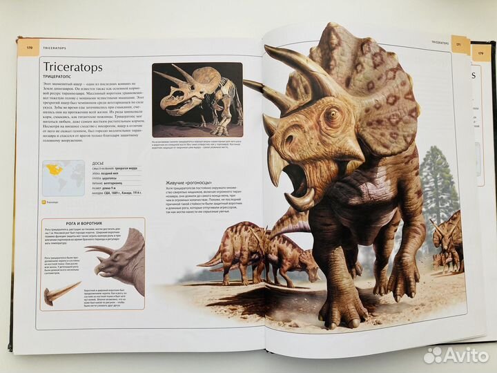 Книги для детей про животных