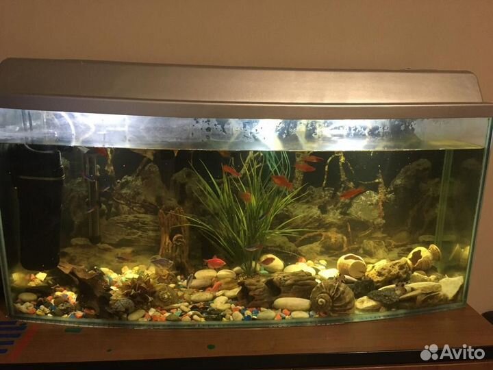 Аквариум на 140 литров