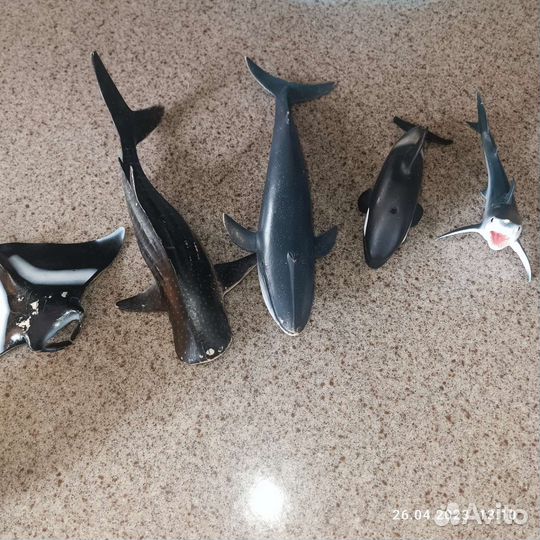 Большие рыбы для плаванья, комплект для купания