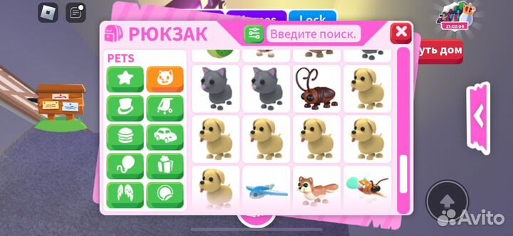 Петы из адопт ми