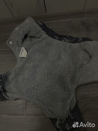 Одежда для собак