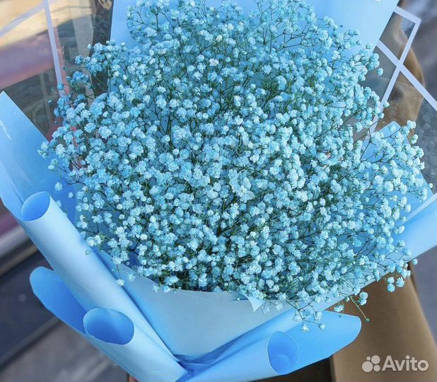 Букет из Гипсофилы. Цветы. Доставка