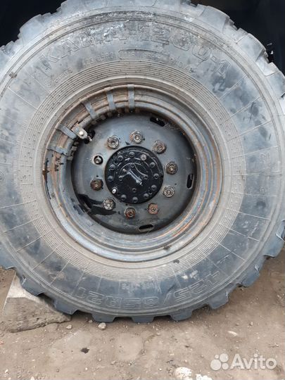 Колеса на камаз вездеход бу