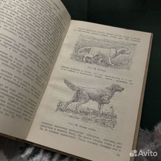 Пупышев Охотничьи легавые собаки