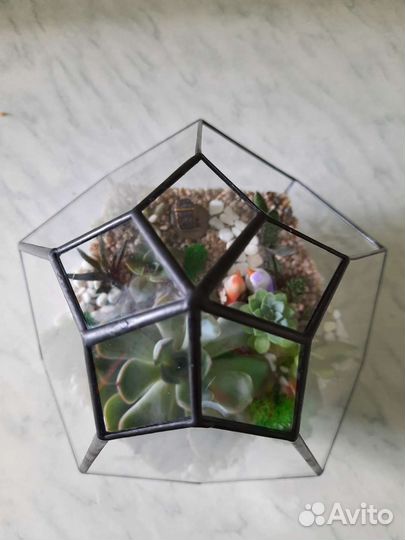 Флорариум на заказ живые суккуленты