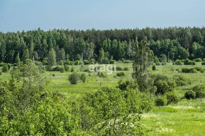 Участок 11,2 сот. (СНТ, ДНП)