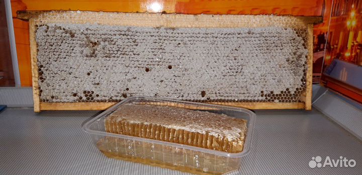 Мед в сотах