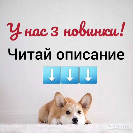 Мясо и Лакомства для собак полный ассортимент