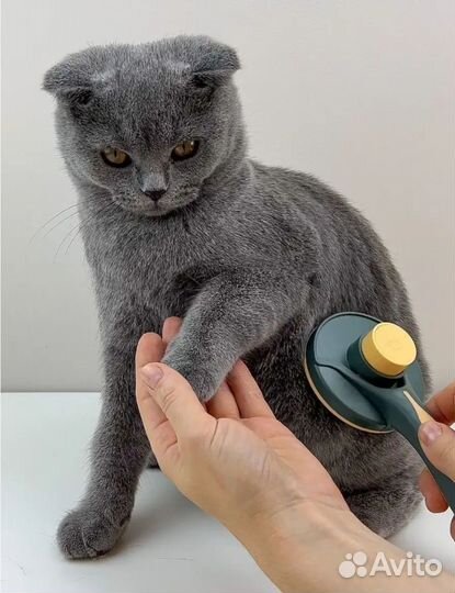 Расческа для животных