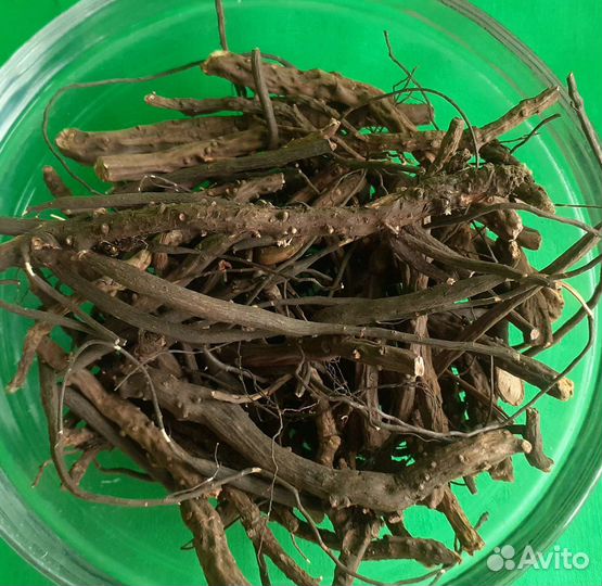 Для Щитовидки Лапчатка белая 2024г свежая