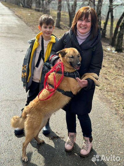 Очаровательный Тобиас мечтает о семье и доме