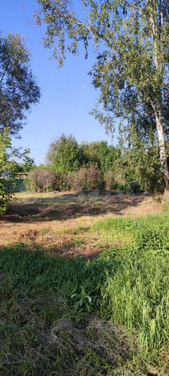 Участок 45 сот. (ИЖС)