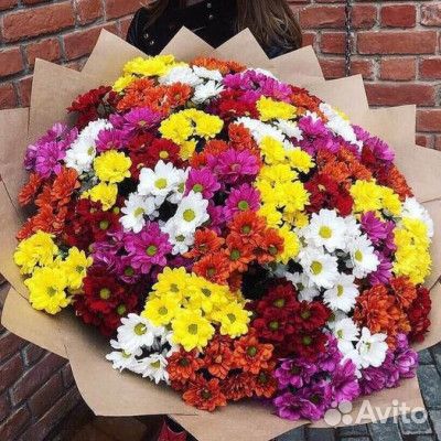 Букет из 51 кустовых хризантем Владимир