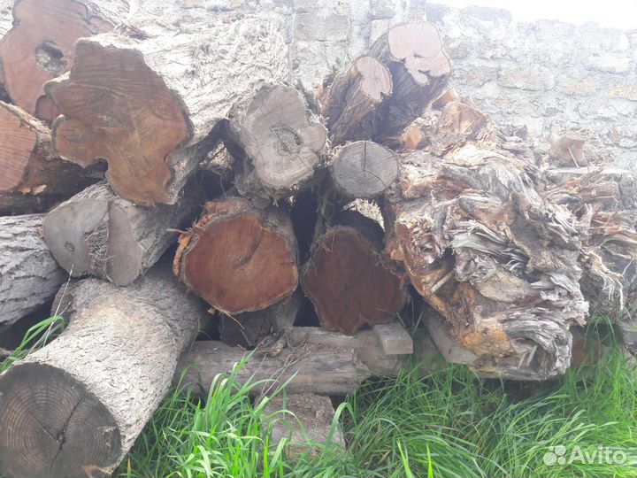 Маклюра на слэб