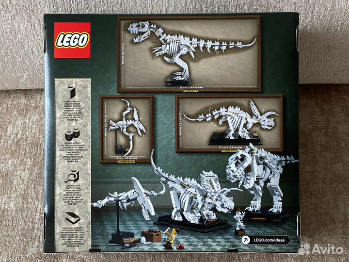 Lego Ideas 21320 Кости динозавра. Новый