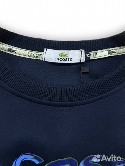 Свитшот мужской lacoste