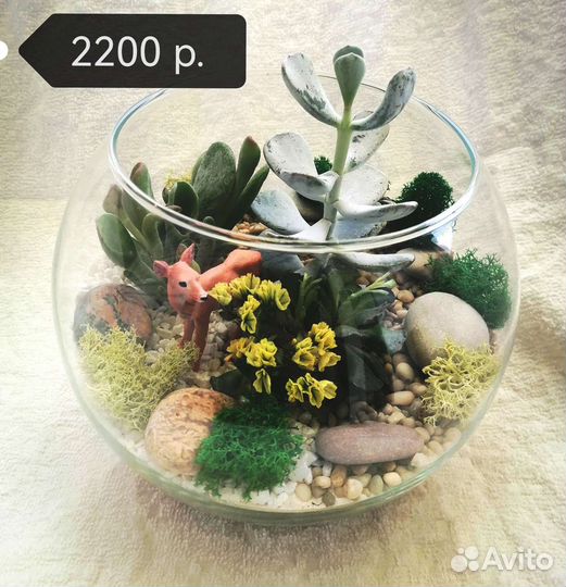 Флорариум с суккулентами, оригинальный подарок