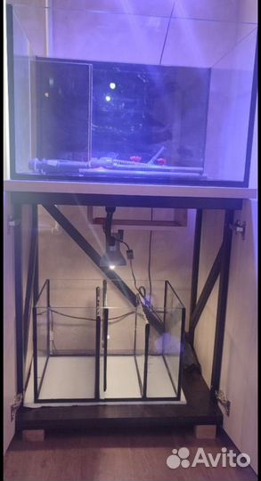 Морской аквариум с сампом