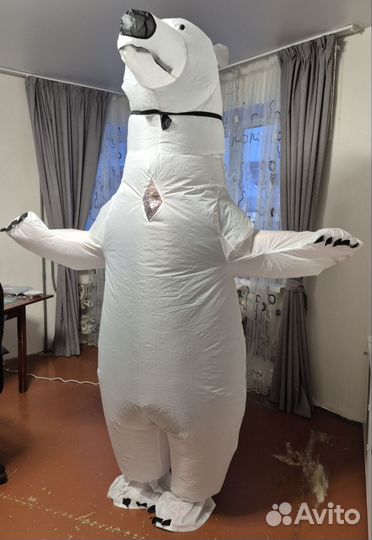 Белый медведь