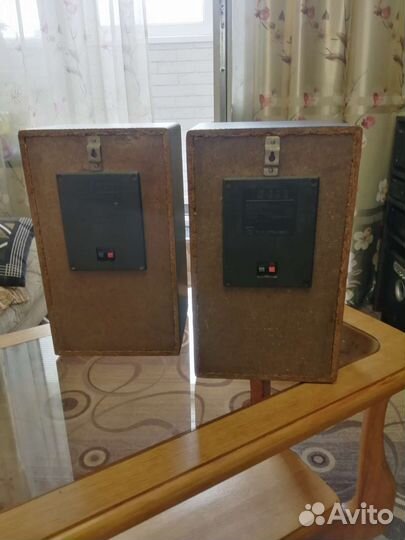 Колонки радиотехника S-30B