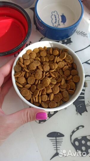 Сухой корм Променад для кошек весом