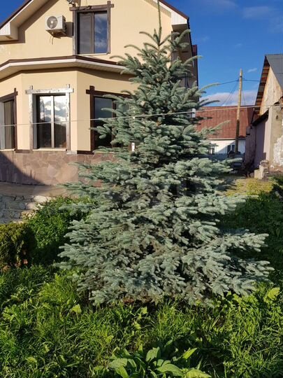 Дом 226,9 м² на участке 8 сот.