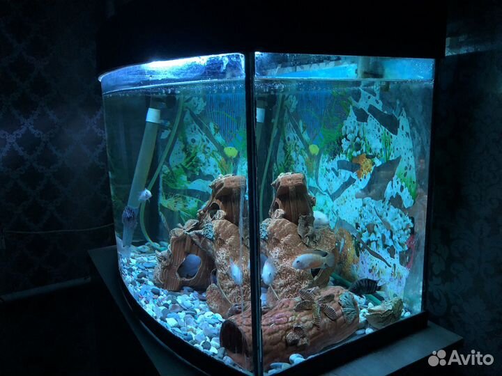 Аквариум