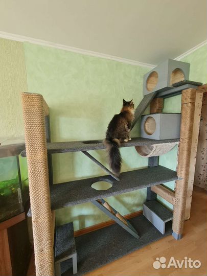 Полки,когтеточки,домики на заказ