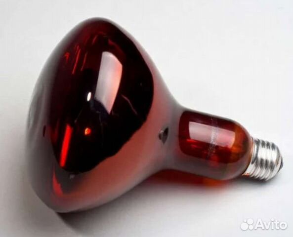 Инфракрасная лампа для обогрева домашней птицы