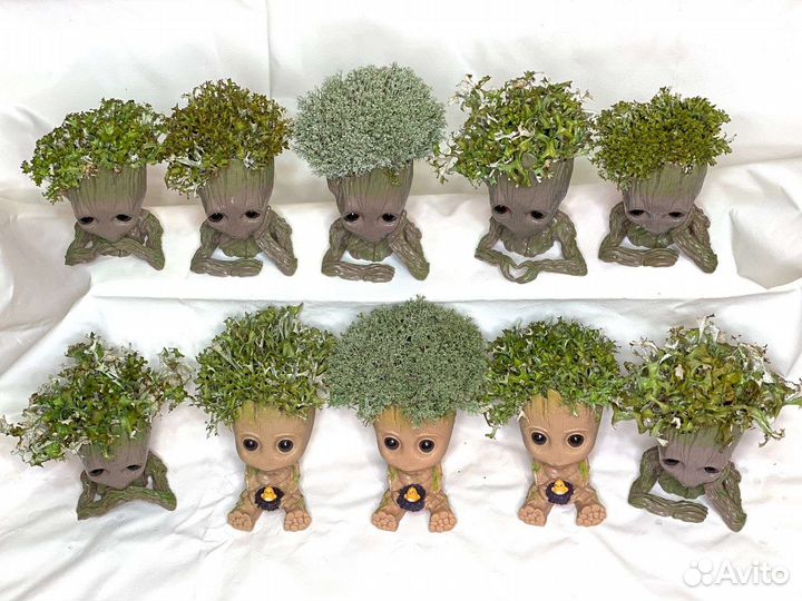 Груты и деревья из цетрарии