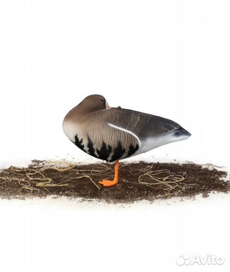 Чучела гусей