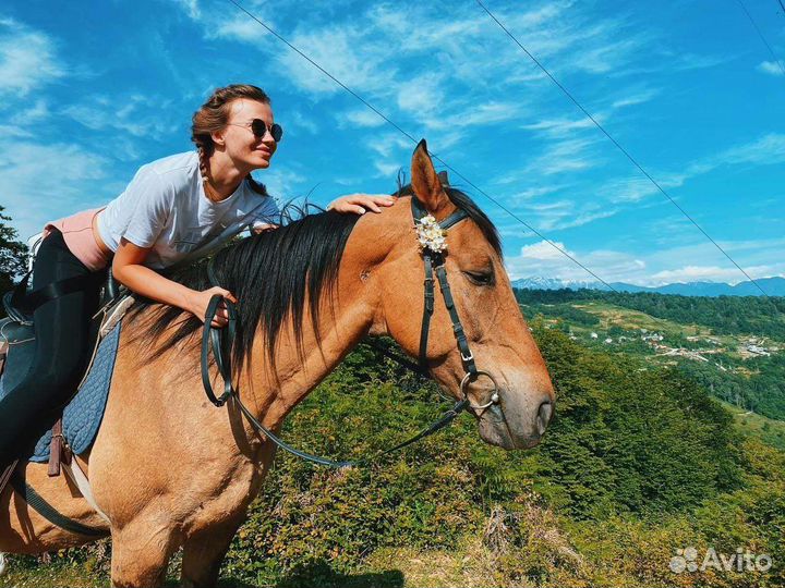 Прогулка на лошадях