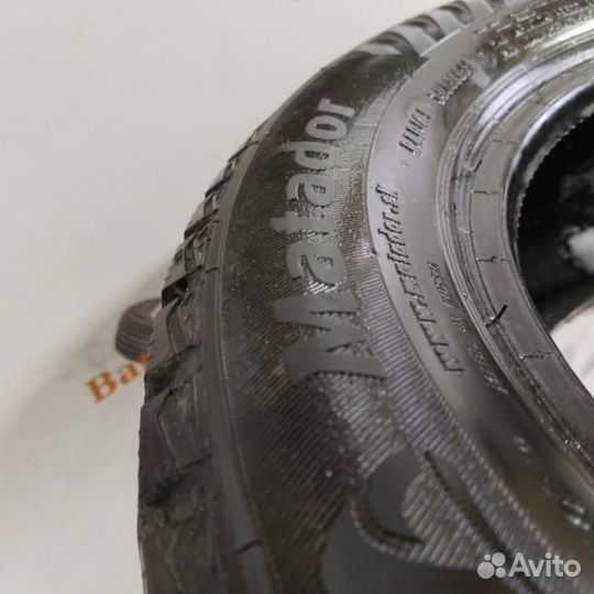 Matador MP 50 Sibir Ice 205/55 R16